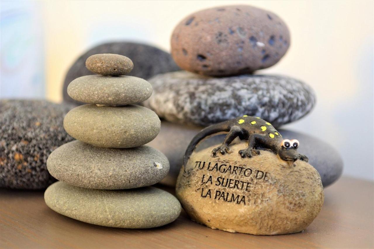 Gecko Daire Tazacorte Dış mekan fotoğraf